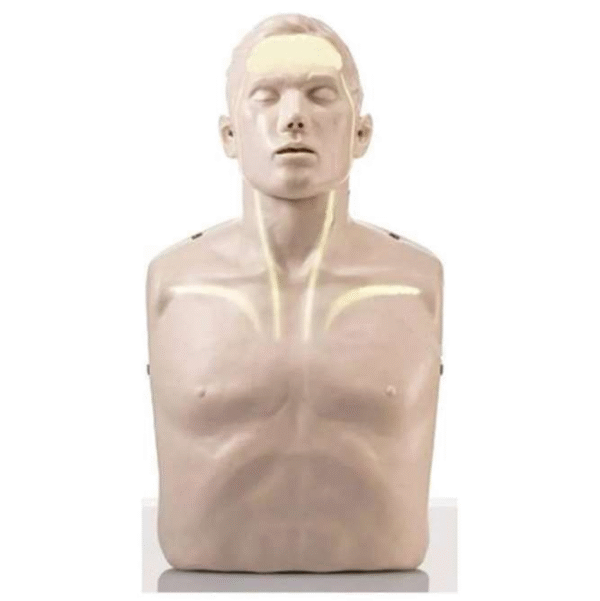 CPR MANIKIN